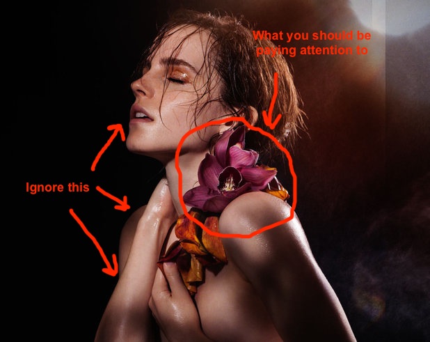 ceasar natizon share emma watson porn pics photos