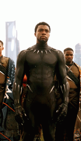 Best of Black panther gif