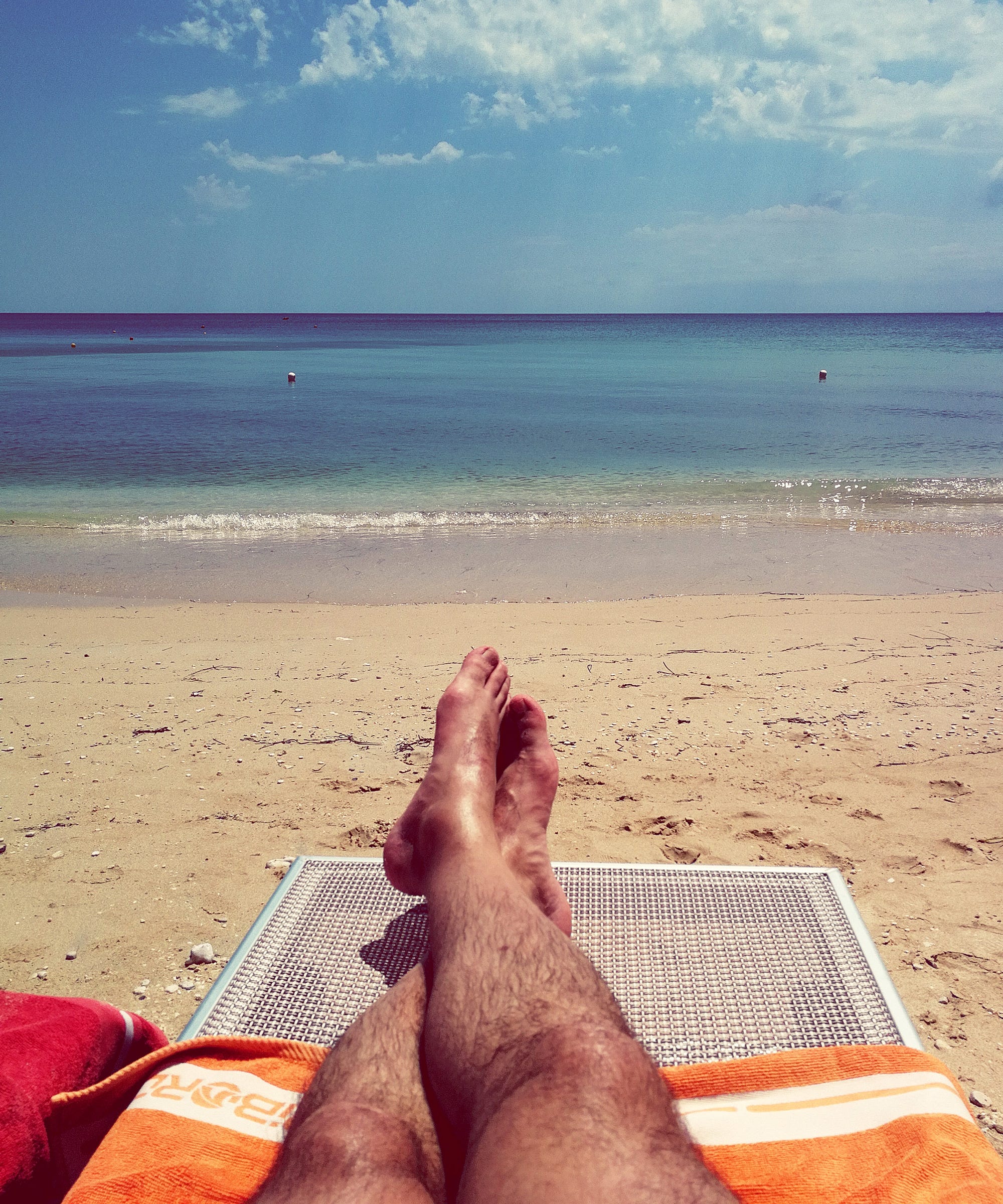 brandon hattaway recommends Hairy Women At The Beach