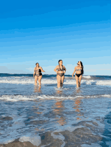austin ballinger recommends sex on the beach gif pic