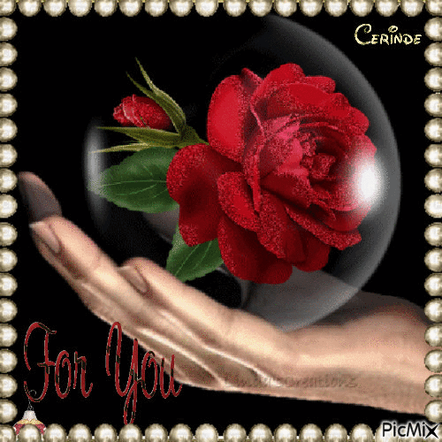 aryna abdullah add photo flowers for you gif