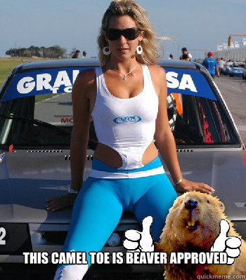 funny camel toe pictures