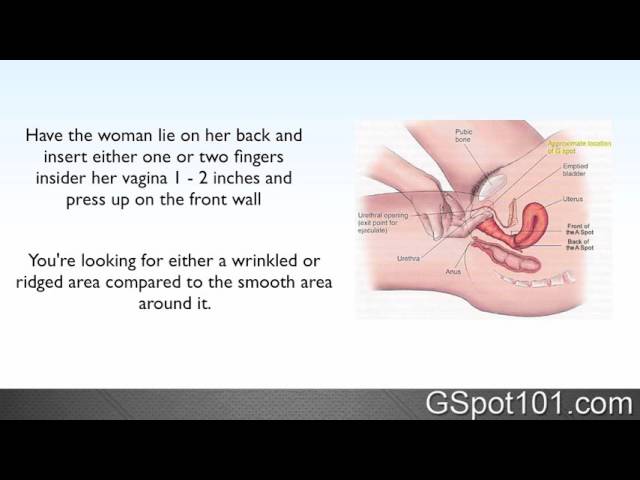 amanda keel recommends G Spot Instructional Video