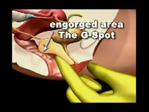 alan merrill recommends g spot instructional video pic