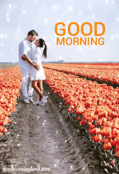 audra duncan recommends good morning gif couple pic