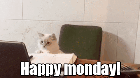 anthony peterman recommends happy first day of work gif pic