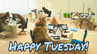 alice godwin recommends Happy First Day Of Work Gif
