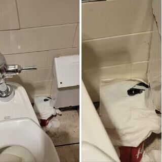 hidden toilet cam poop