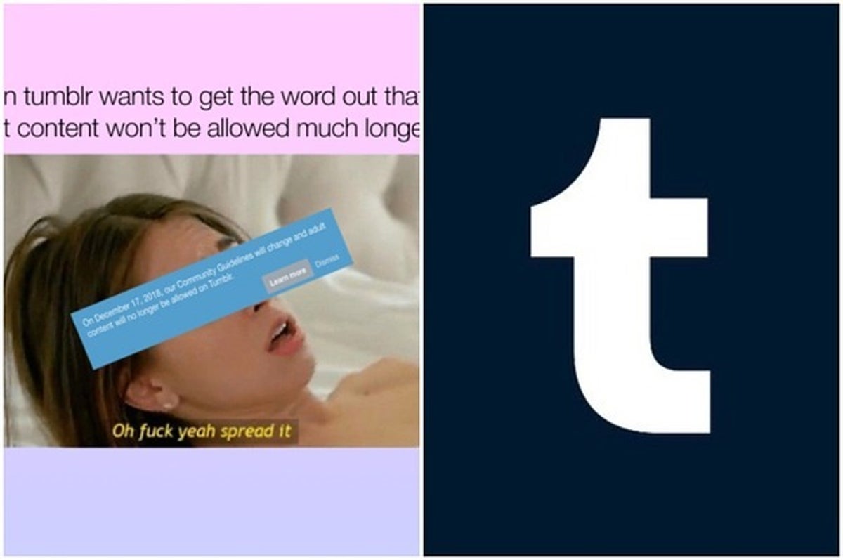 david burnette recommends how to find porn on tumblr pic