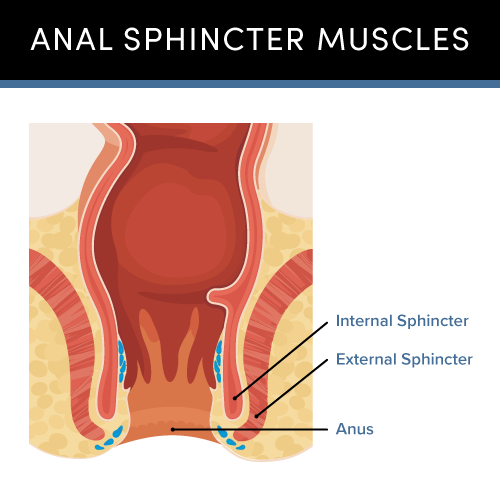 Best of How to stretch your ass hole