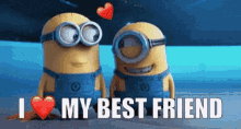 dani evers recommends i love my best friend gif pic