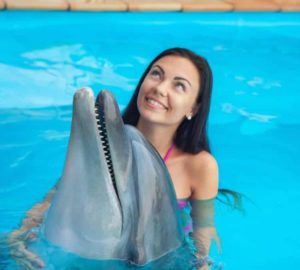 ashley augsburger add man jerks off dolphin photo