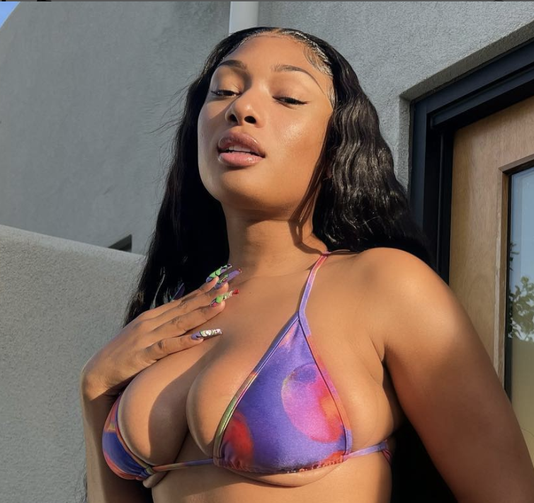 doug hoekstra recommends megan thee stallion big tits pic