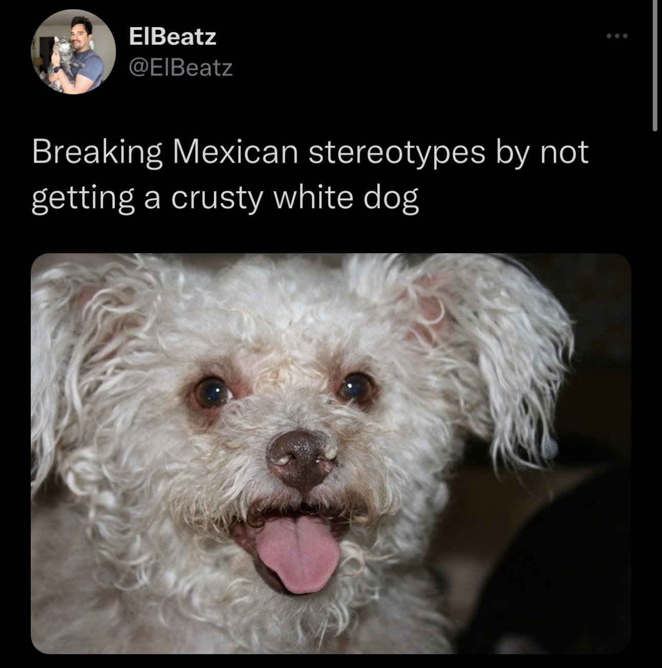 cate dalton recommends Mexican Women Fucking Dogs