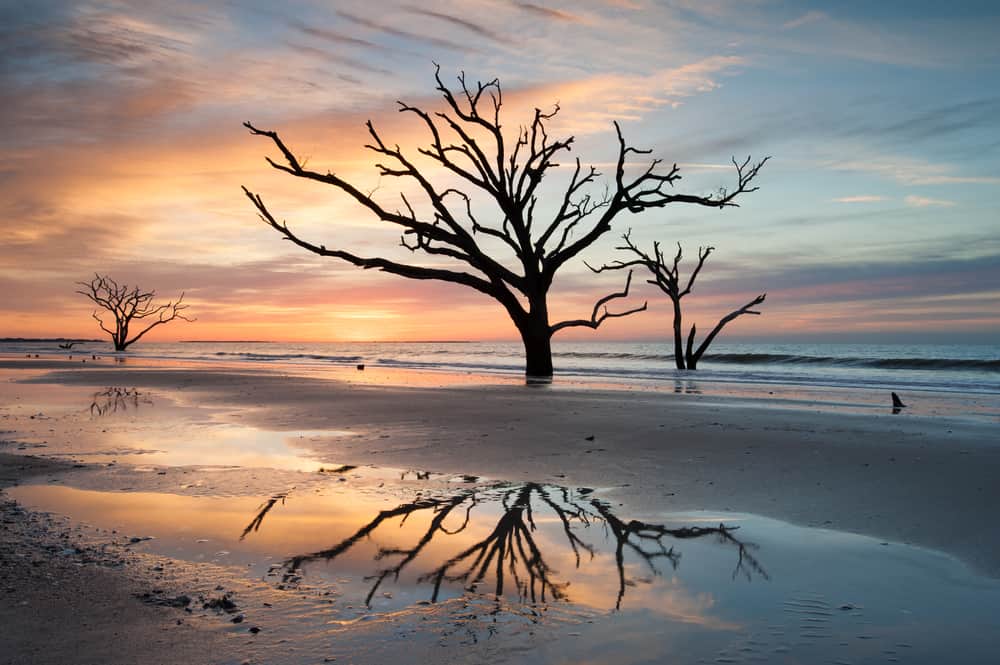 dawn isaacson recommends nude beach jacksonville florida pic