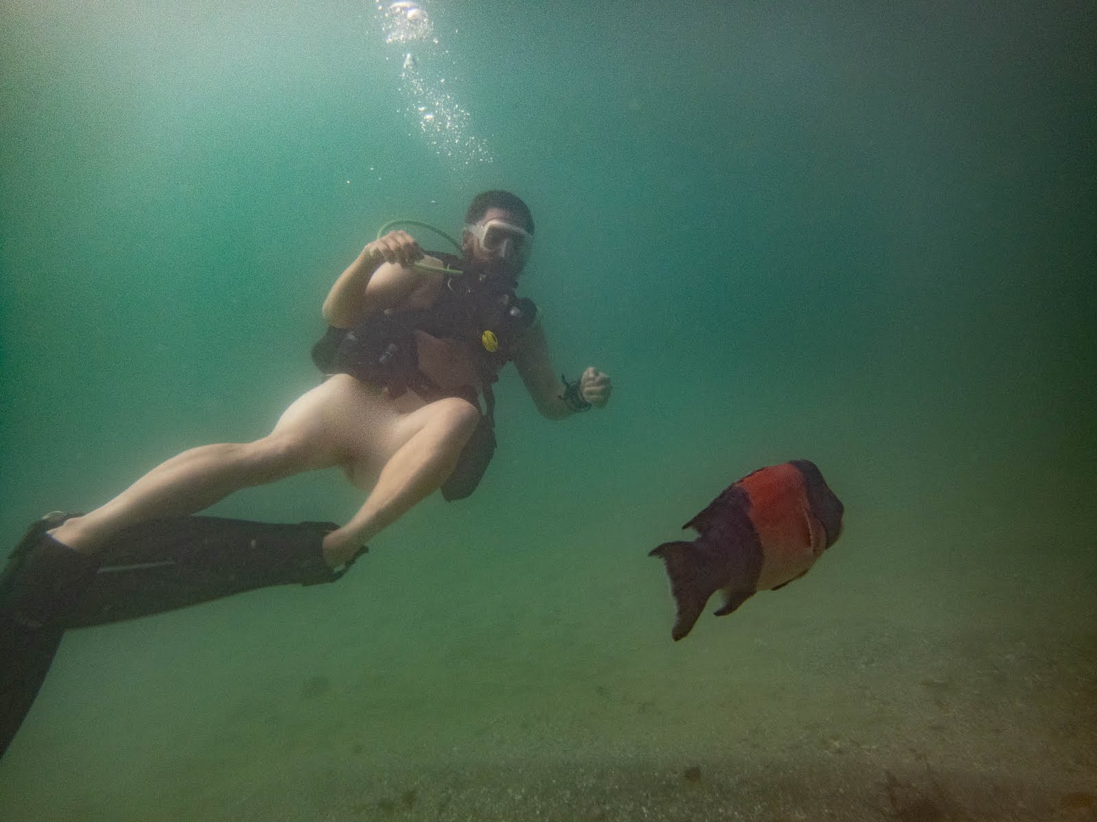ciaran macken recommends nude scuba diving pic