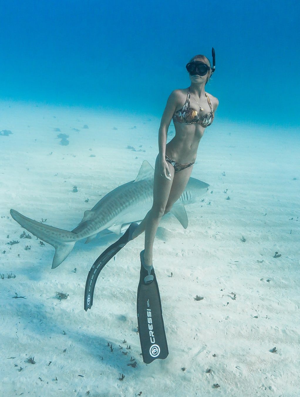 ahmad sheikh recommends ocean ramsey hot pic
