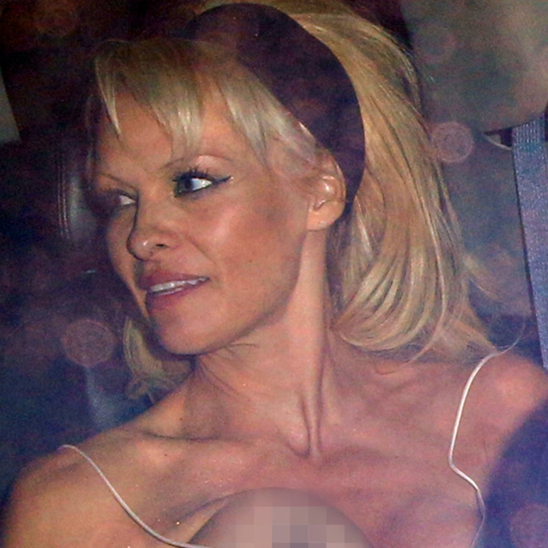 dianna watkins recommends pam anderson nip slip pic