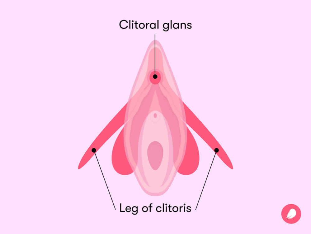 chimere morris recommends photos of clitorus pic