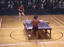 arnold deluna recommends ping pong show gif pic