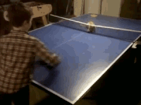ping pong show gif