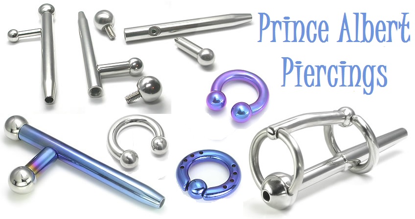 chris ancarrow share prince albert piercing tumblr photos