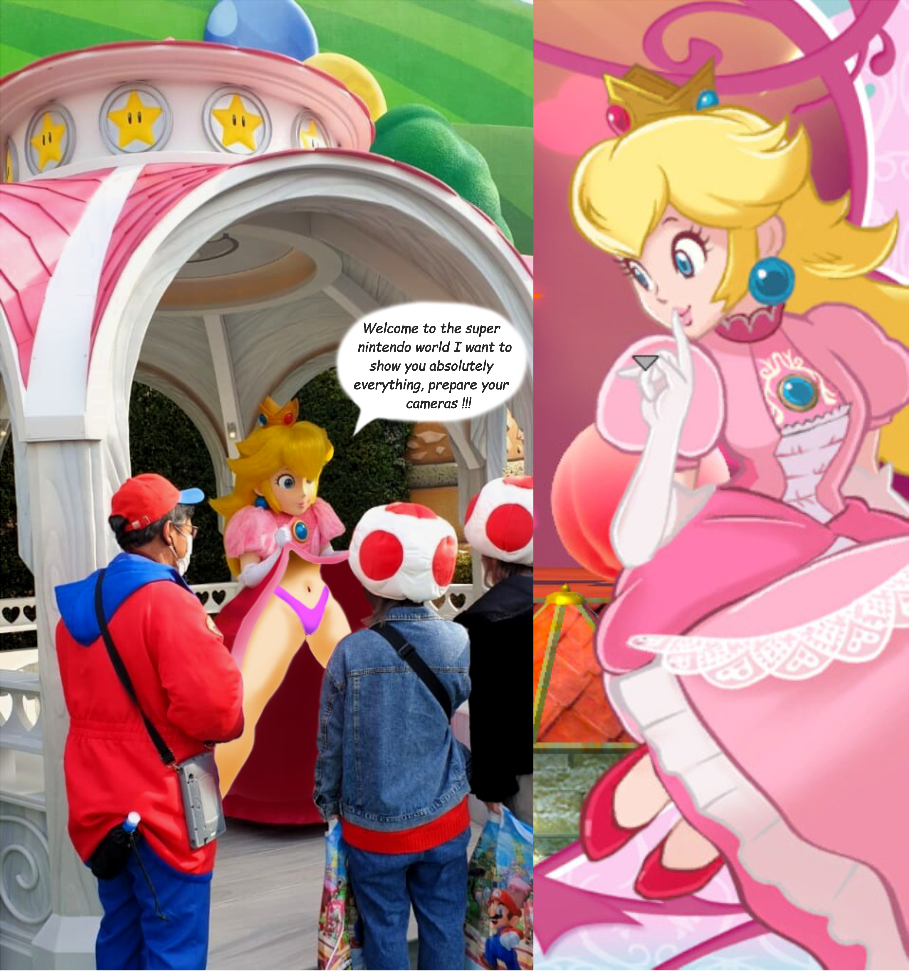 bryson griffith recommends princess peach rule 34 pic
