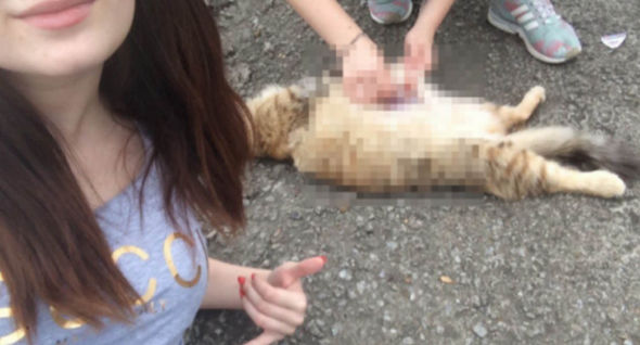 russian girls torture animals