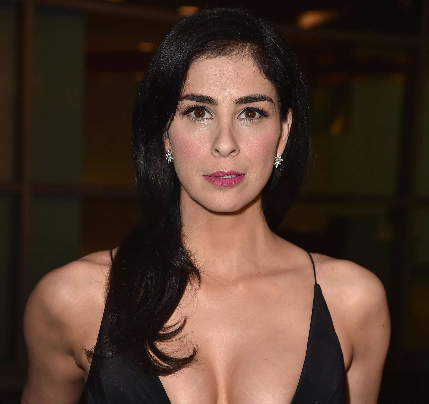 sarah silverman tits