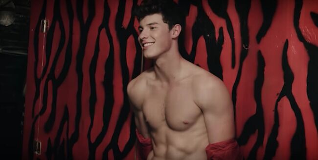 crainauw combrink recommends shawn mendes leaked pic