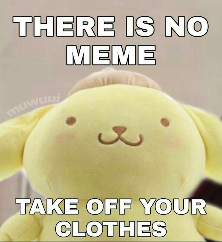 dorothy monaghan recommends there is no meme take off pic