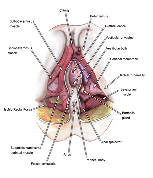 Best of View inside a pussy