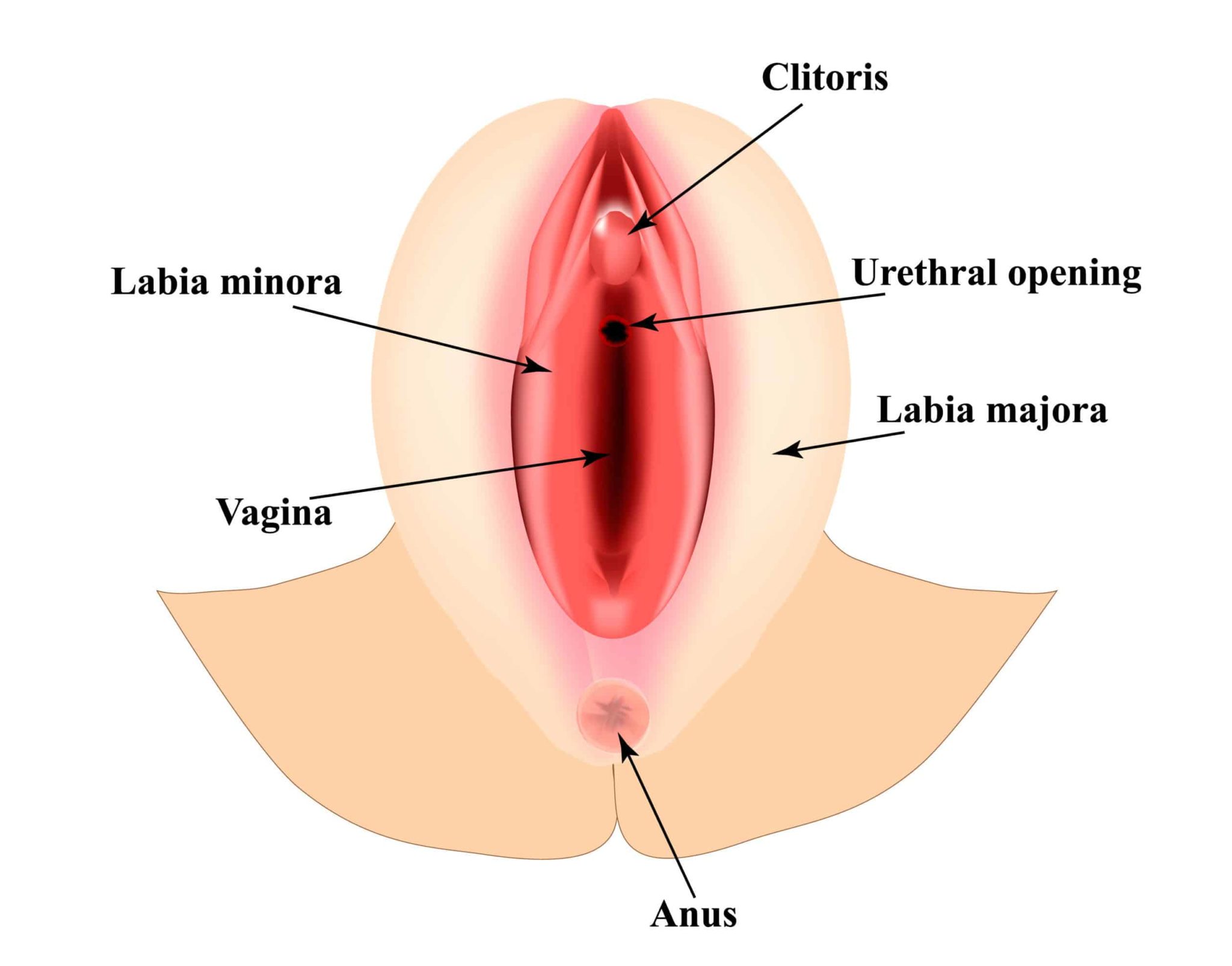 aman prabhakar recommends women with large labia pic