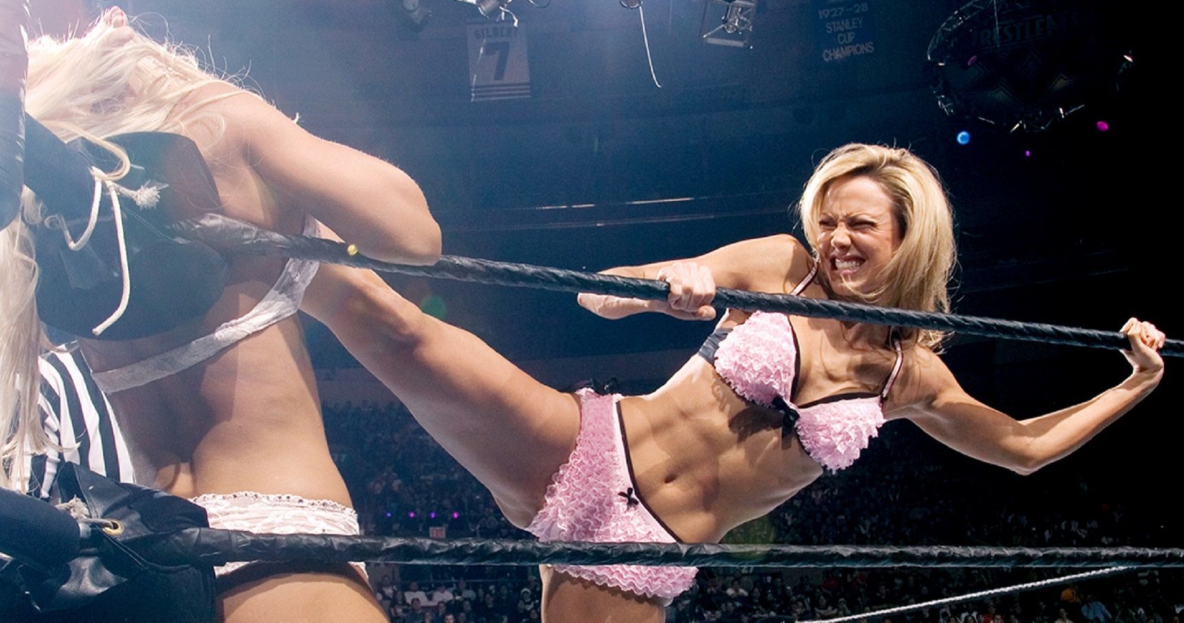 adam hilgers recommends Wwe Diva Hot Moments